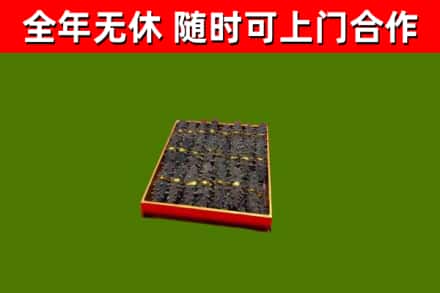 连州市回收海参